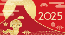 С Новым 2025 годом!