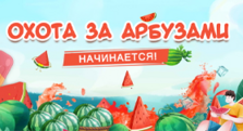 Охота за арбузами 2024
